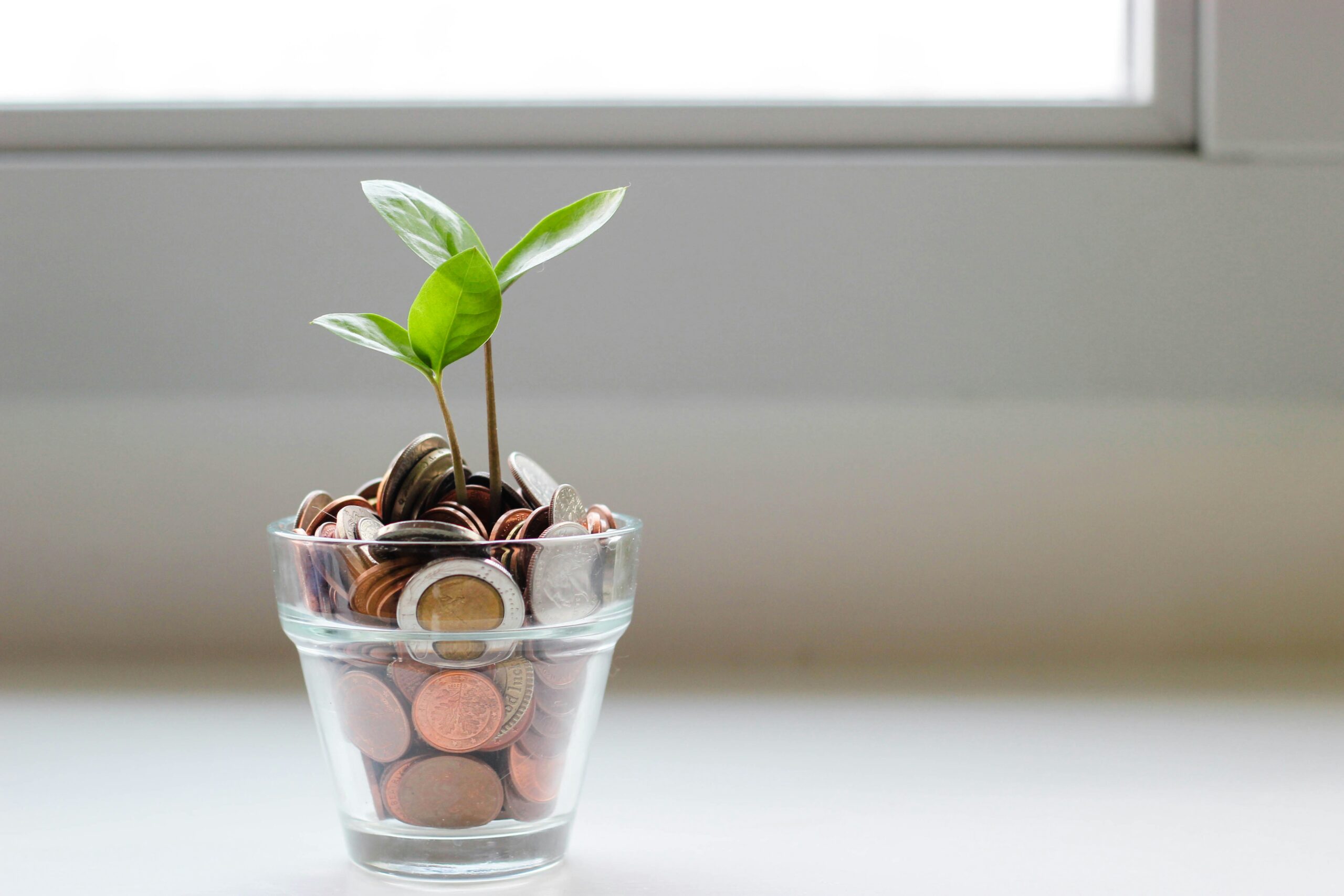financial growth